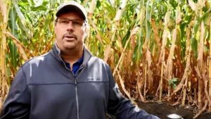 When To Use Ag Lime And Gypsum To Improve Soil