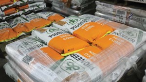 Your Seed Product Should Never Let You Down!