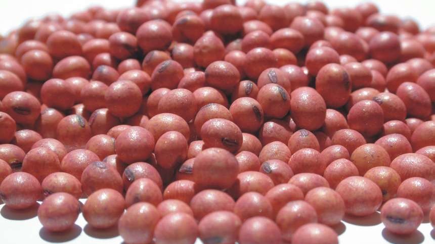 Taking Seed Treatments To The Next Level