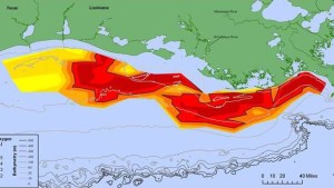 Measuring Progress In Watershed Monitoring