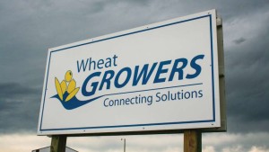 16 Most Diversified Ag Retailers In 2016