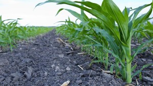 Pinnacle Agriculture Agrees To Credit Agreement Amendment