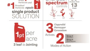 Dow AgroSciences Introduces New Spring Wheat Herbicide