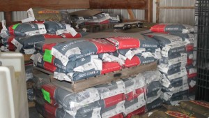 The Outlook For Seed In 2016