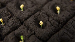 Exceed The Seed Symposium Lauded For Engaging Speakers, New Seed Technology Insight