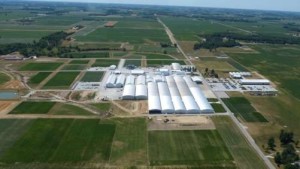 Beck’s Acquires Former Syngenta Facility In Paris, IL