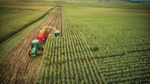 Illinois Research Accurately Predicts U.S. End-of-Season Corn Yield