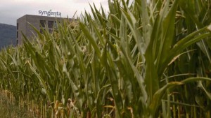 Syngenta Shareholder Group Opposes Sale To ChemChina
