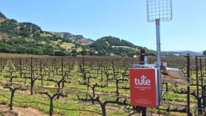 Tule Technologies: Monitoring Water Stress Can Unlock Potential