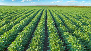 New Vive Crop Protection Products Debut In Six Midwestern States