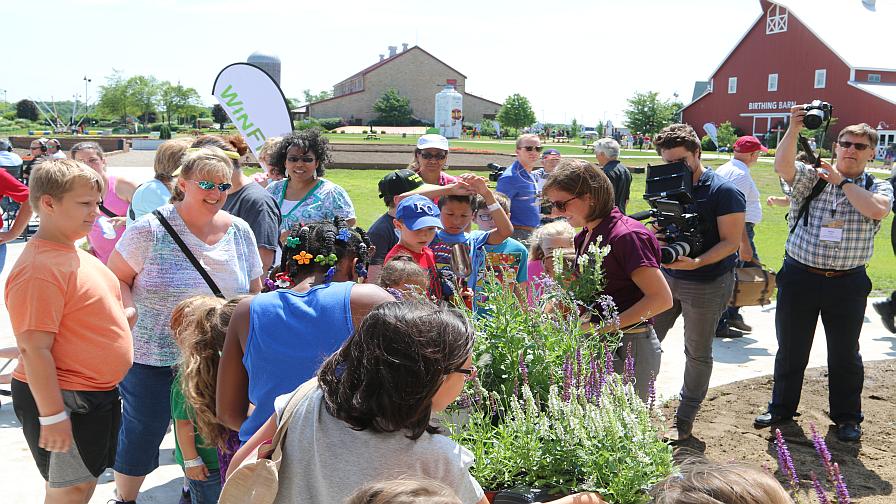 Local summer camp kids help plant pollinator garden 