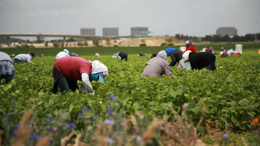 Guest Worker Example Greenhouse Grower: Our Agricultural Guest Workers Deserve Better - CropLife