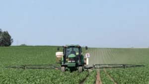 Dicamba Back in the Line of Fire