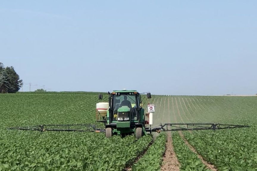 A Mixed Bag with Dicamba