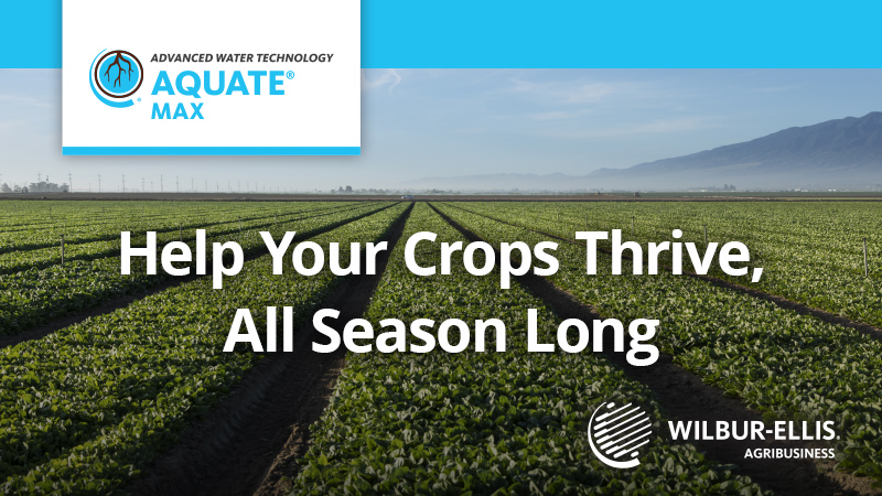 Help Your Crops Thrive, All Season Long