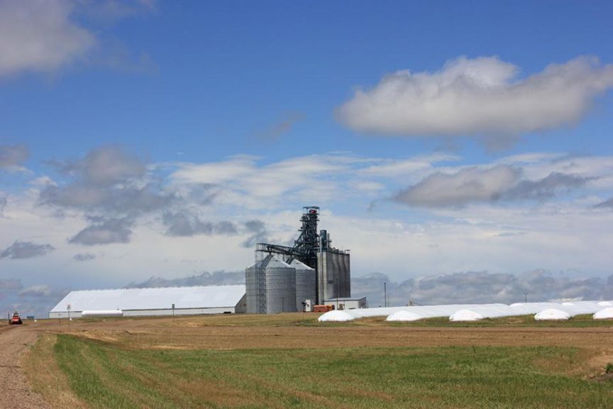 Top 10 Ag Retailers With the Most Grain Elevator Revenue CropLife