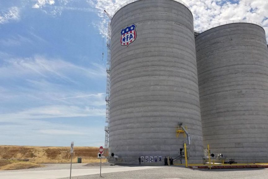 Top 10 Ag Retailers With the Most Grain Elevator Revenue CropLife
