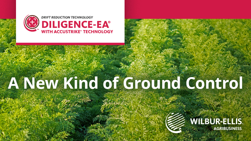 A New Kind of Ground Control