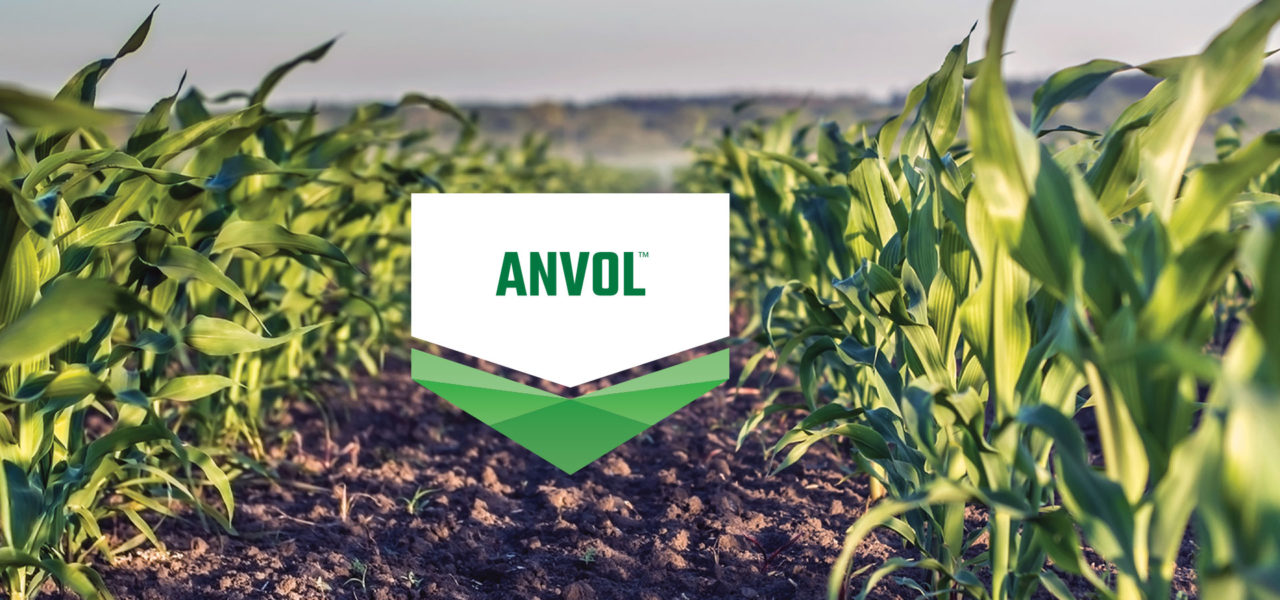 Overcome Unexpected Challenges by Making Nitrogen Protection a Priority