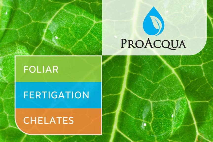 ProAcqua Water-Soluble Fertilizers