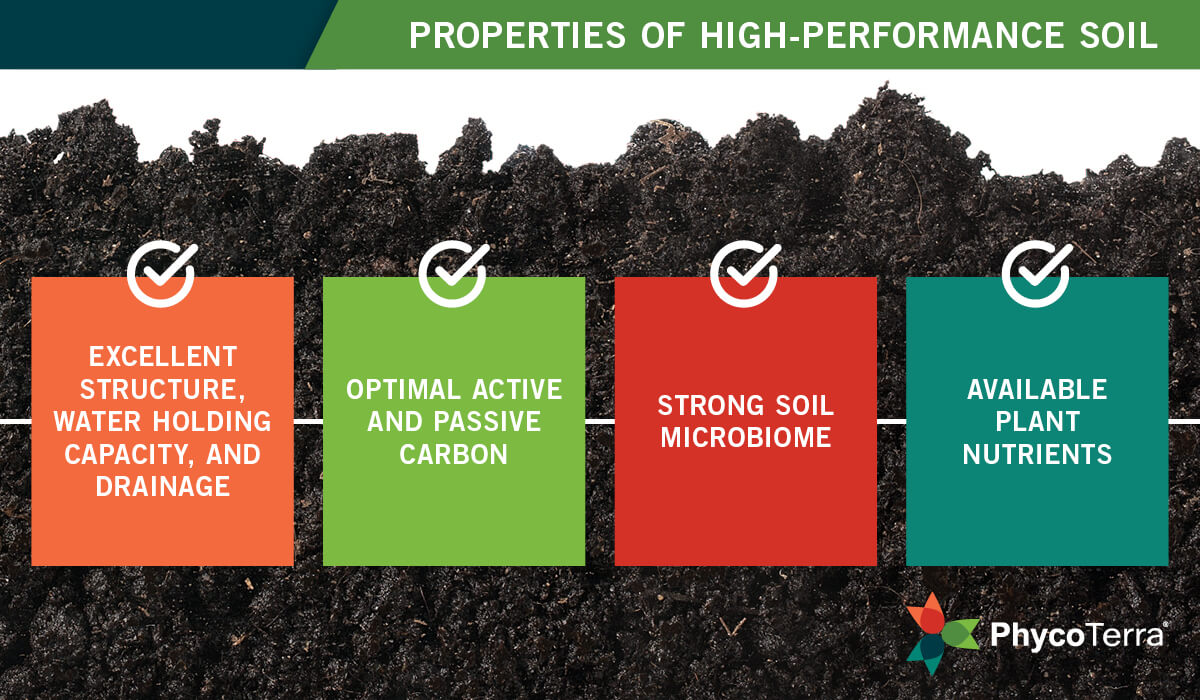 The Key to Maintaining High-Performance Soil? Abundant Active Carbon