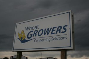 North Central Farmers Elevator, Wheat Growers Merge to Form Agtegra