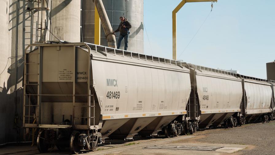 New Investment Round Moves Bushel to a ‘Tipping Point’ in Grain ...