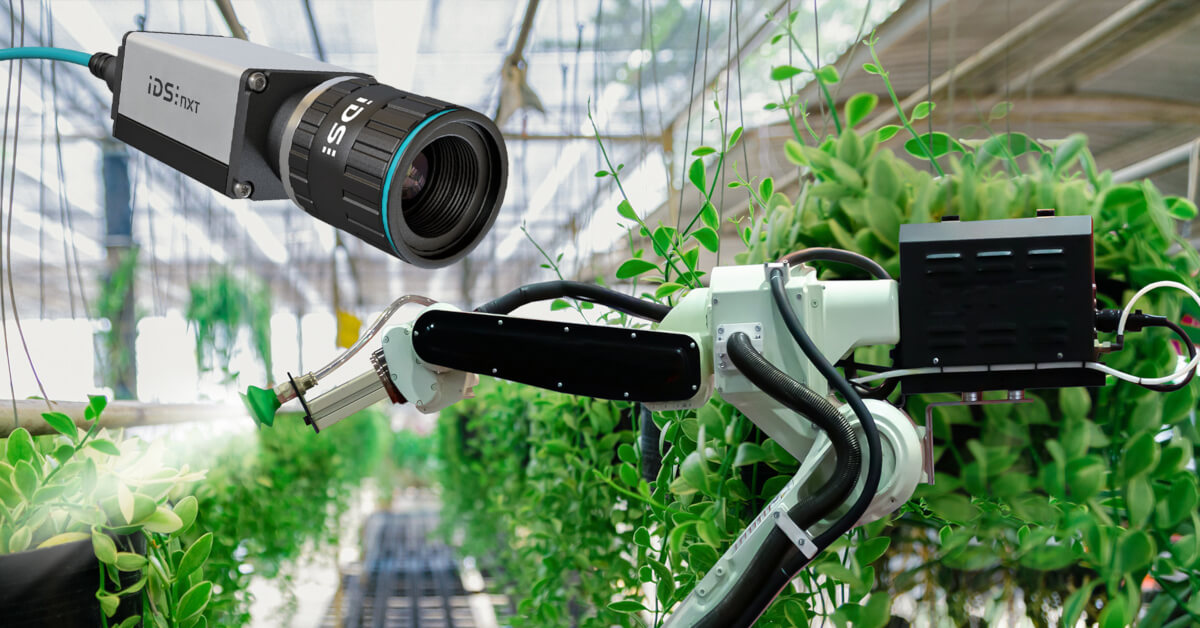 Let artificial intelligence transform agriculture