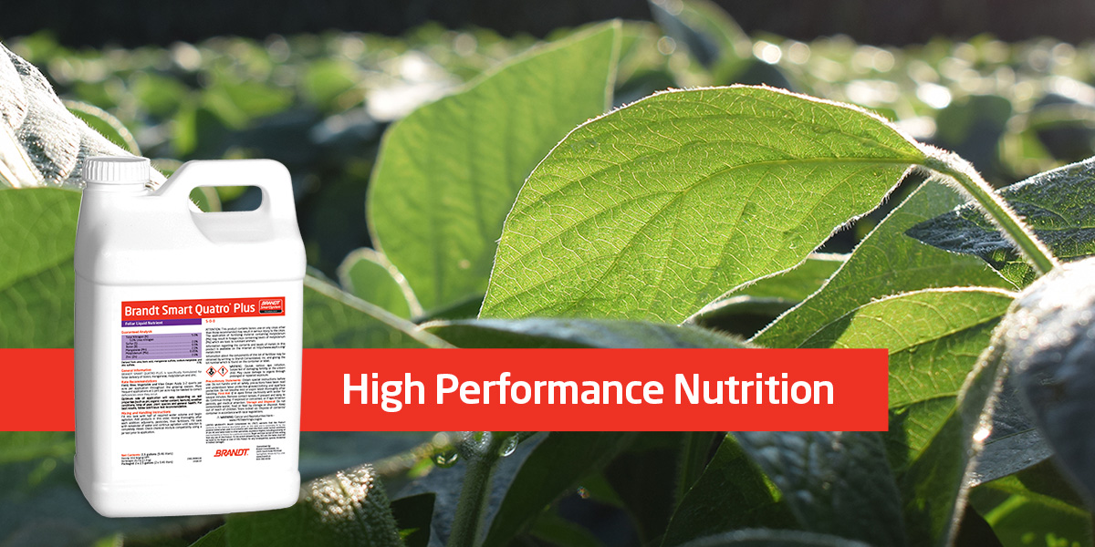 Maximize ROI with Innovative Nutrient Technologies for High Yield Soybeans