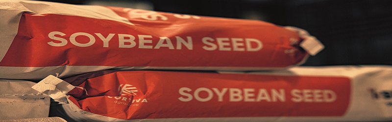 Set the tone for seed decisions