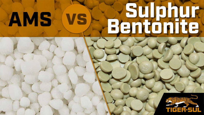How Much Sulphur do you Actually Get and at What Cost: AMS vs. Sulphur Bentonite