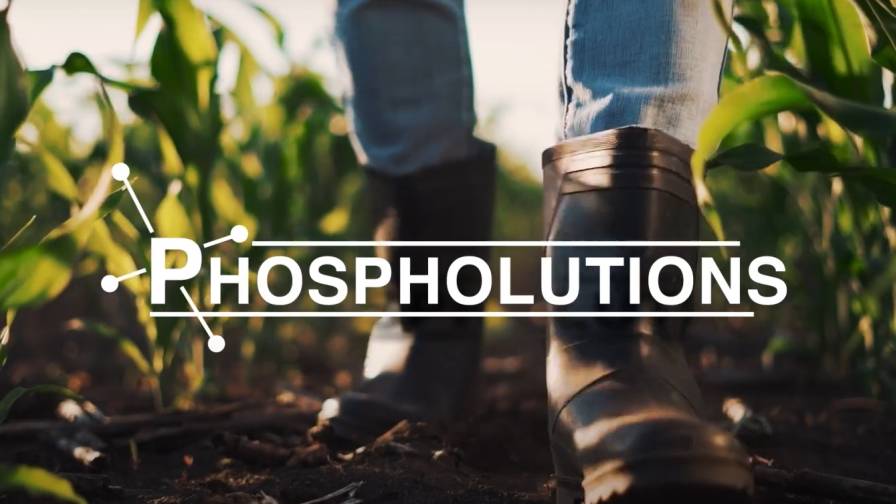 Phospholutions Appoints New R&D VP to Propel Sustainable Fertilizer Technology