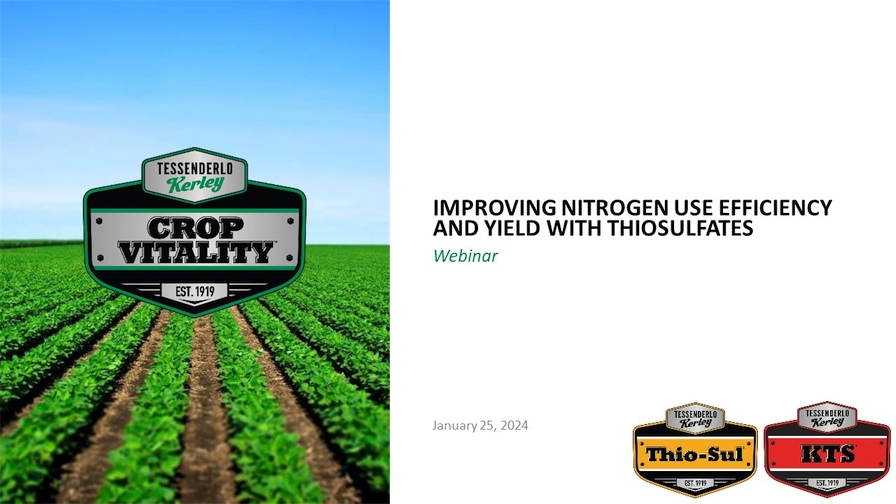 Thiosulfates Improve Nitrogen Use Efficiency and More