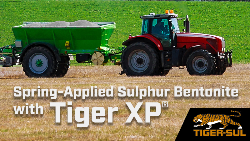 Spring-Applied Sulphur Bentonite with Tiger XP® or Tiger 90CR® Sulphur!