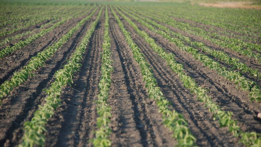 Syngenta Announces an Upcoming Addition to Seed Treatment Portfolio