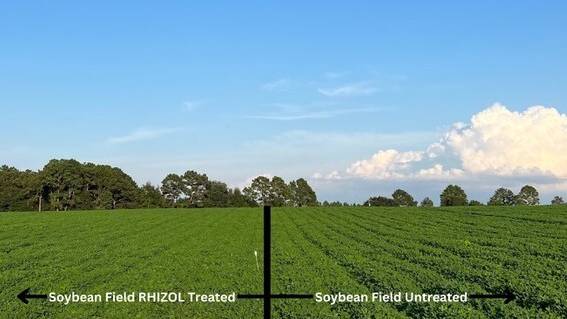 ProGro BIO Launches Expansive 2024 U.S.-Wide Rhizol Soil Inoculant In-Field Trials