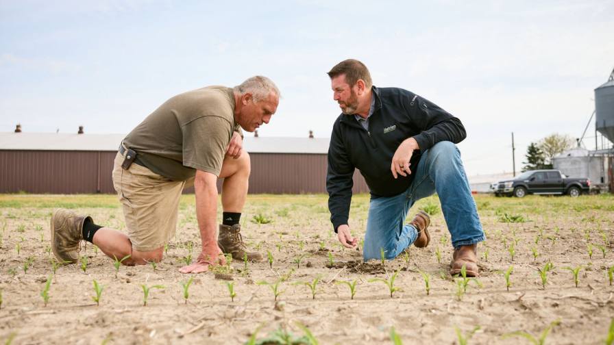 Admiring the Merits of Crop Scouting Tools - CropLife