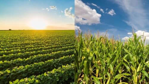 Helena Introduces New Herbicides at 2026 Commodity Classic