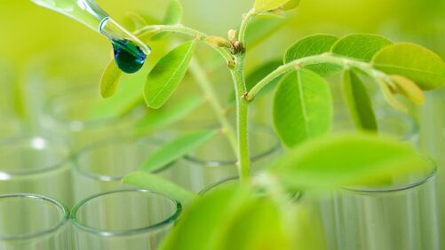 Closing the Biological Gap: What Ag Retailers Need to Know