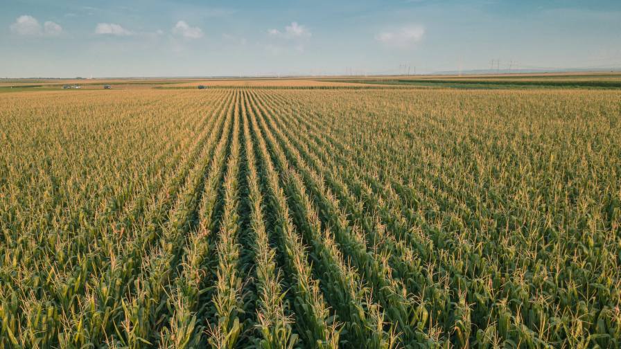 Growers Edge Launches First Generative AI Platform for Agricultural Mortgage Lending