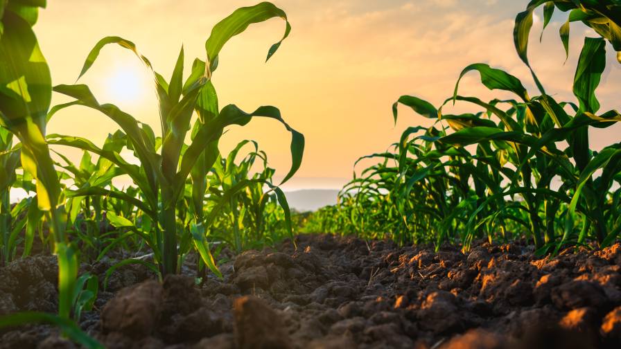 Verdesian Life Sciences’ Take Off LS Earns Industry Biostimulant Certification from The Fertilizer Institute