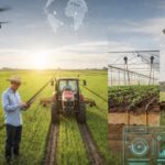 ИИ в сельском хозяйстве: инструмент, а не замена человеку