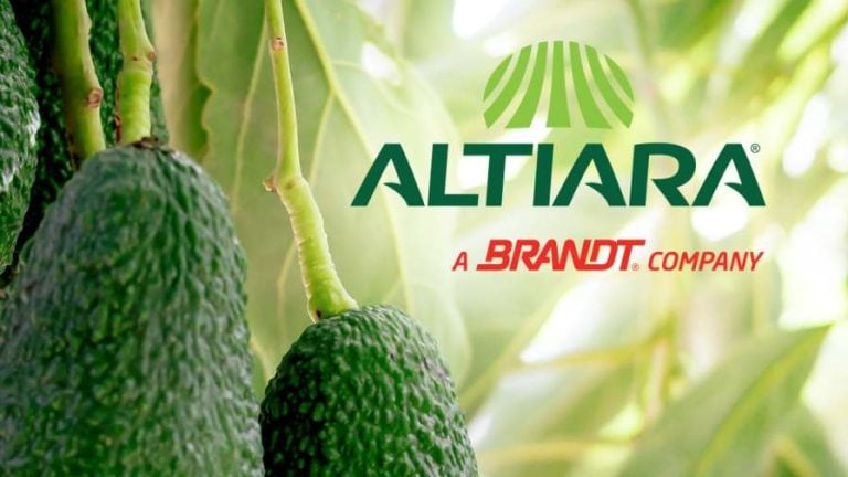 altiara-announcement-2026-1080x1350